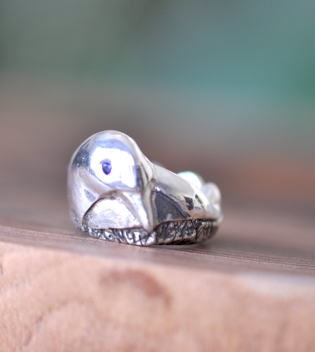 bird with blue eyes in a nest silver ring
